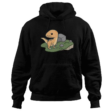 Discover Dinosaur Adventure - Raptor Hoodies