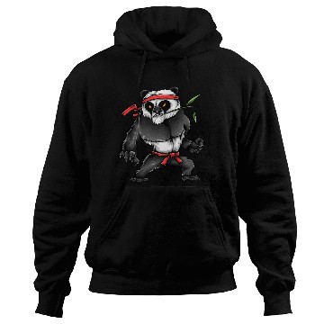 Discover Kung fu Panda Hoodies, Apparels & Decor