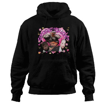 Discover Certified Boy Lover Hoodies