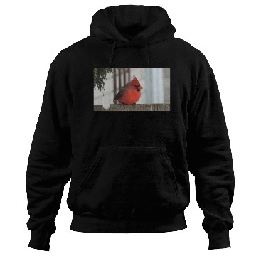 Discover Brilliant Cardinal Bird 2 Hoodies