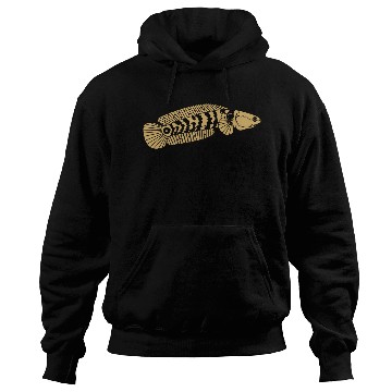 Discover black and gold channa snakehead fish illustrations Hoodies