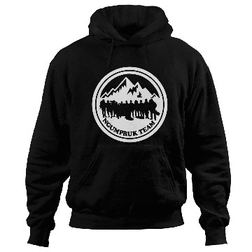 Discover camping team Hoodies