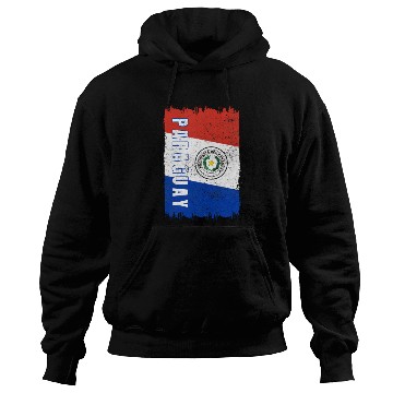 Discover Paraguay Flag Hoodies