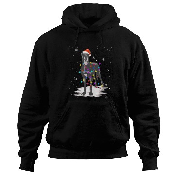 Discover Great Dane With Christmas Lights Santa Hoodies