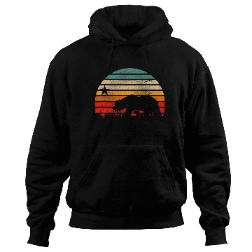 Discover California Bear Hoodies