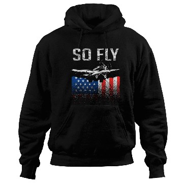 Discover Airplane Pilots USA Hoodies