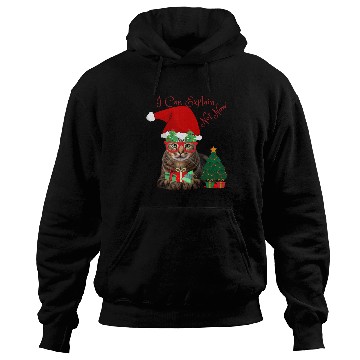 Discover Merry Xmas Hoodies
