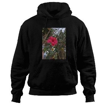 Discover Hibiscus Hoodies