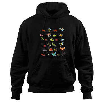 Discover Bug Alphabet Insect Alphabet Back to School Alphab Hoodies