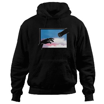 Discover Adam Creation Cat Mom Cat Lover Christian Hoodies