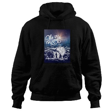 Discover He Is Risen!Jesus,Easter, Bright & Morning Star Hoodies