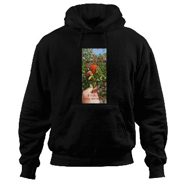 Discover Spring Hoodies