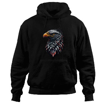 Discover American Eagle Hoodies