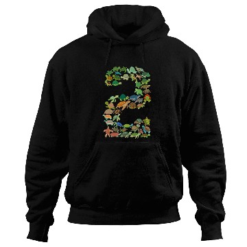 Discover 2nd birthday sea turtle tortoise theme 2 year old Hoodies