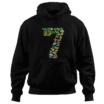 Discover 7th Birthday Sea Turtle Tortoise Theme 7 Year Old Hoodies