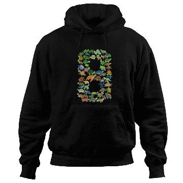 Discover 8th Birthday Sea Turtle Tortoise Theme 8 Year Old Hoodies