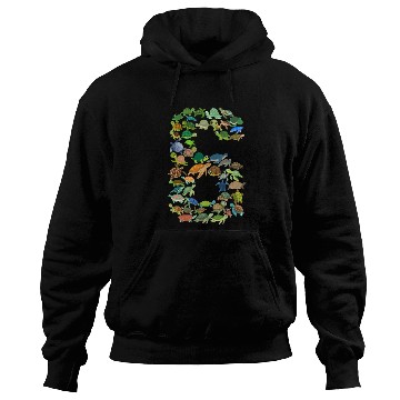 Discover 6th Birthday Sea Turtle Tortoise Theme 6 Year Old Hoodies