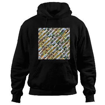 Discover Wildlife Stripe white Collage Hoodies