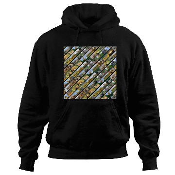 Discover Wildlife Stripe black Collage Hoodies