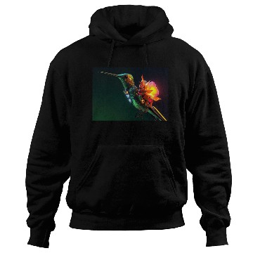 Discover Techno Hummingbird Hoodies