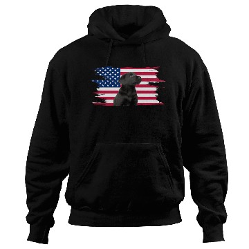 Discover American Flag Dog Black Lab Puppy Hoodies
