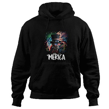 Discover Merica Lincoln Independence Day Party 4th July Hoodies