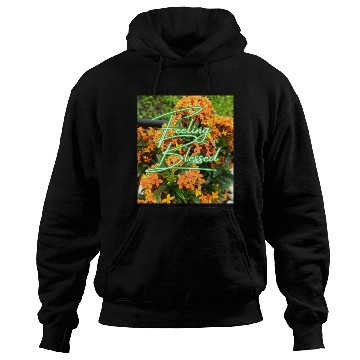 Discover Nature, feeling blessed Hoodies