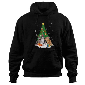 Discover Pi Number 3141 Math Teacher Student Hoodies