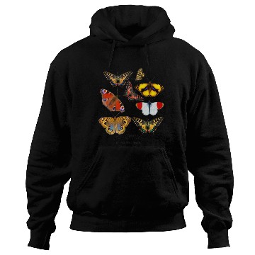 Discover Butterflies in my stomach Hoodies