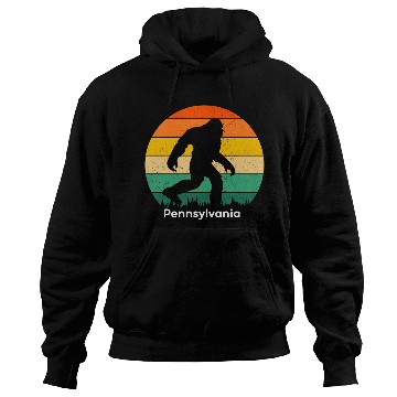 Discover Pennsylvania Hoodies