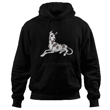 Discover Dog Great Dane Harlequin Hoodies