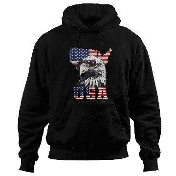 Discover gift idea bald eagle american flag Hoodies
