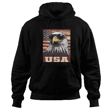 Discover gift idea bald eagle american flag Hoodies