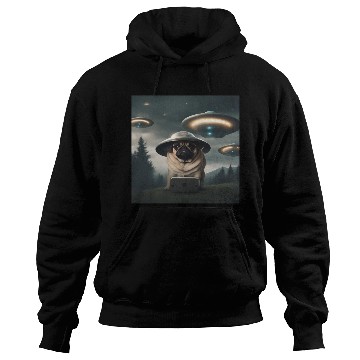 Discover Area 51 Hoodies