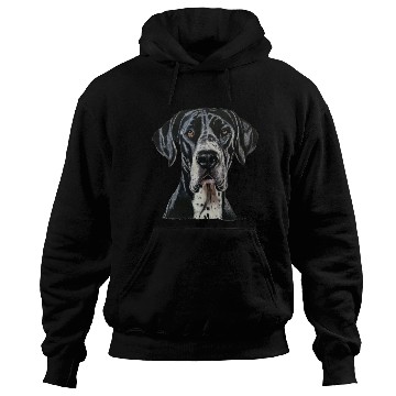 Discover Dog - Great Dane Hoodies