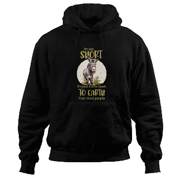 Discover I'm not short. - Donkey lovers Hoodies