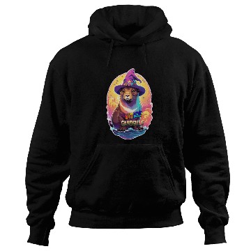 Discover Wizard GandGulf Sea Lion Hoodies