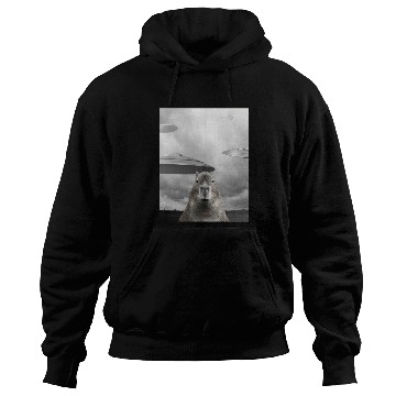 Discover Funny Graphic Capybara Selfie with UFOs Weird Hoodies
