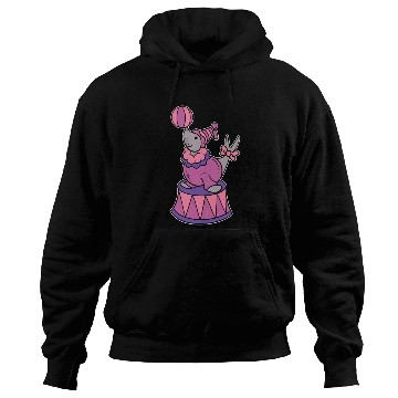 Discover Circus Seal Animal Trainer Gift Hoodies