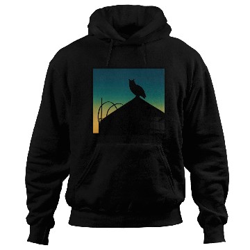 Discover Flaco the Owl on Water Tower - Birder Design Hoodies