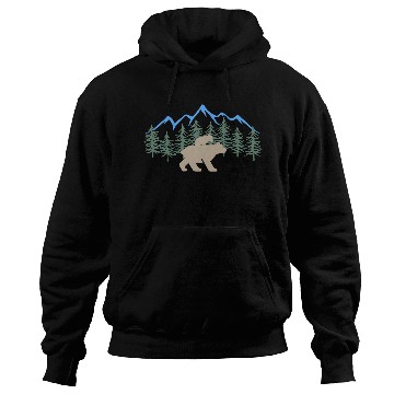 Discover Bears: Family Love Hoodies