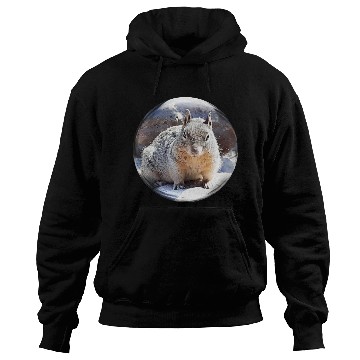 Discover Life In a Bubble Collection- Grand Canyon Squirrel Hoodies