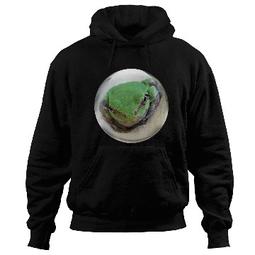 Discover Life In a Bubble Collection - Frog Eyes Looking 4U Hoodies