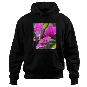 Discover Orchid 1 Hoodies