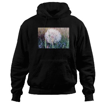 Discover Beautiful Look at a Western Salsify #101 Hoodies