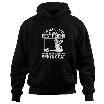 Discover Best Friend Funny Sphynx Cat Mom Hoodies