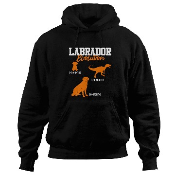 Discover Labrador EVOLUTION Labrador Lover Labrador Hoodies