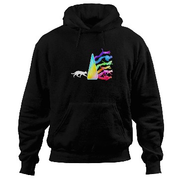 Discover Funny Science Nerd, Geek Cat Physics Rainbow Hoodies
