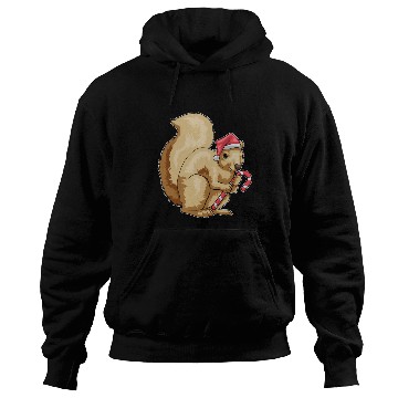 Discover Squirrel Christmas Candy cane Hoodies