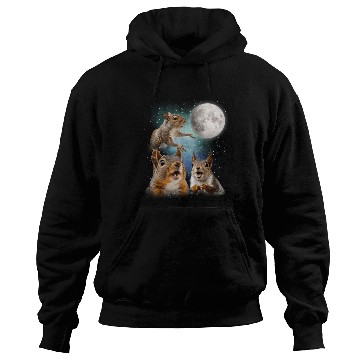 Discover Funny Squirrel Moon Space! Nerd, Geed, Science Hoodies